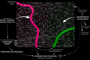 What Is Consciousness?